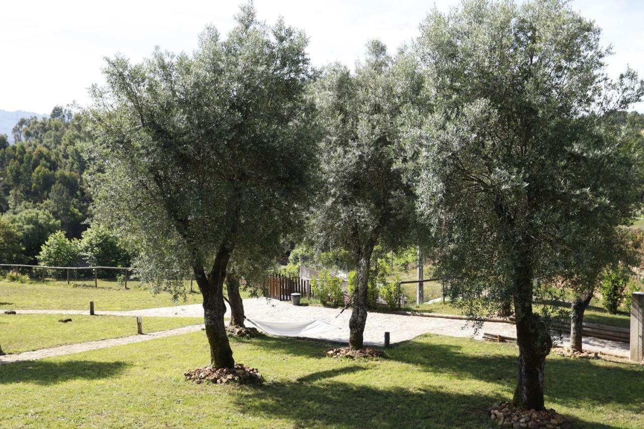 Ternaldo Agroturismo & Relax Arco de Baulhe المظهر الخارجي الصورة